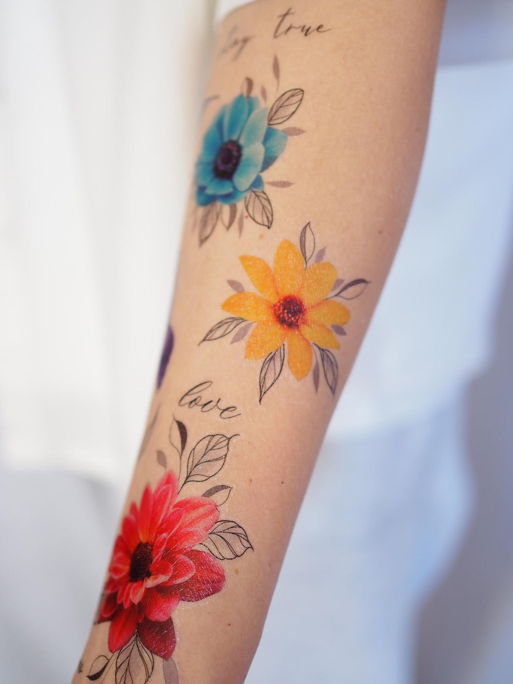 Bloom in Motion