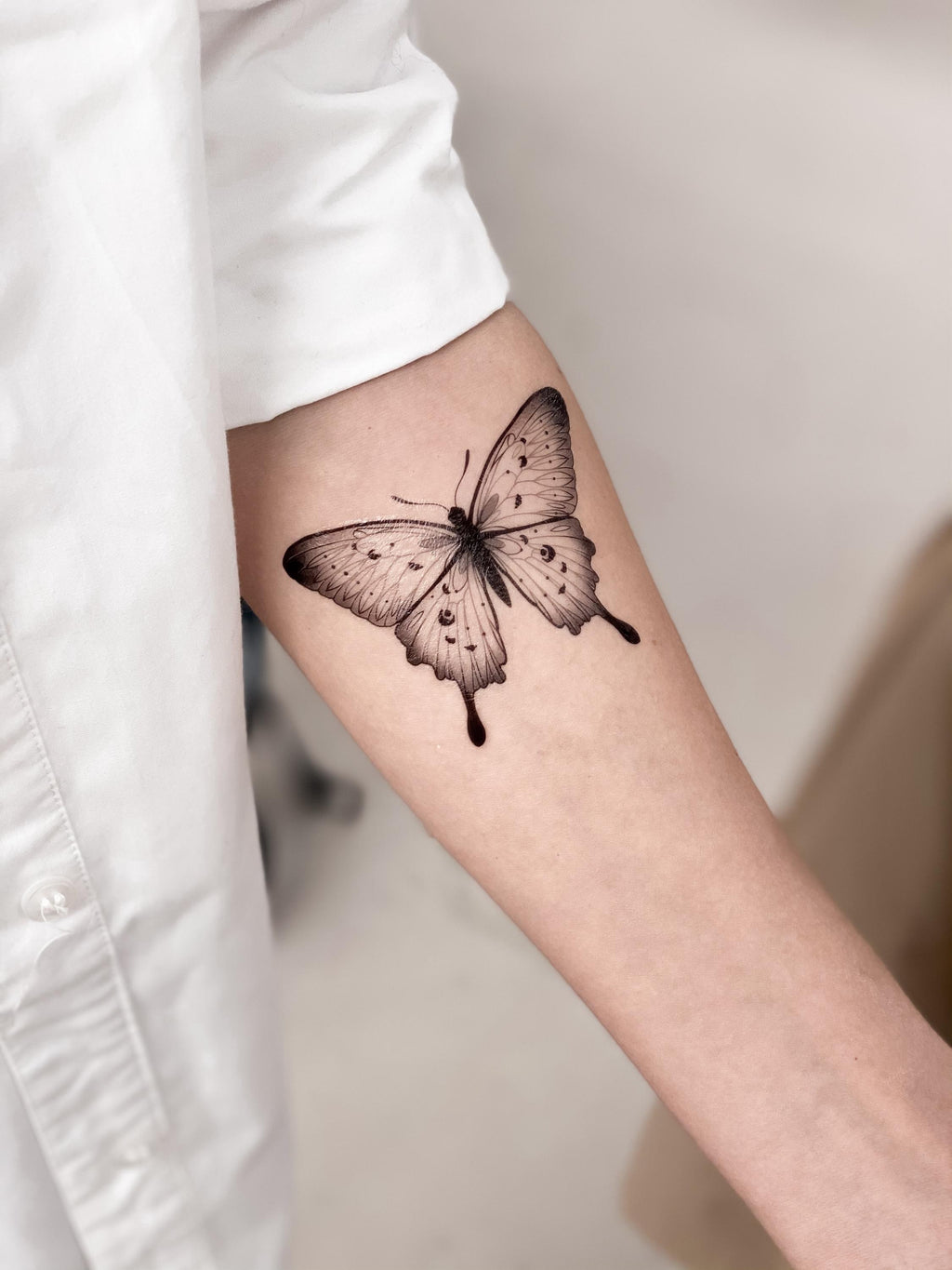 Fluttering Wilds