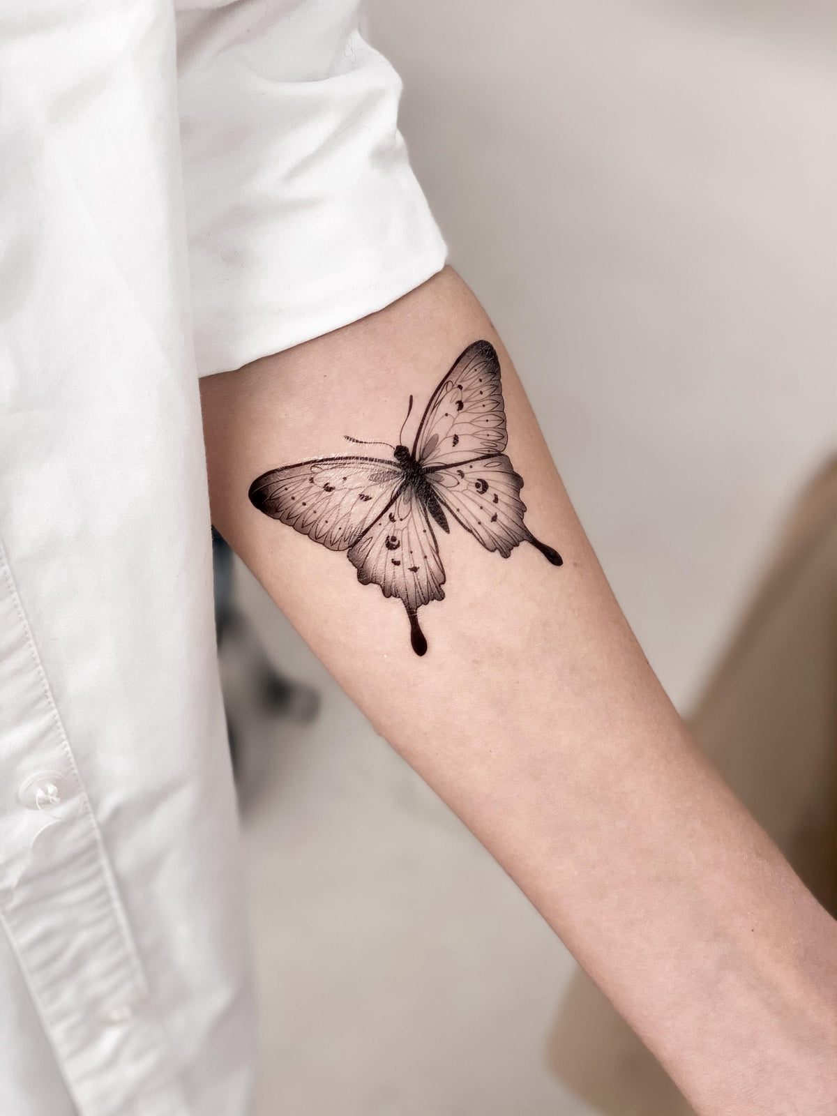 Fluttering Wilds