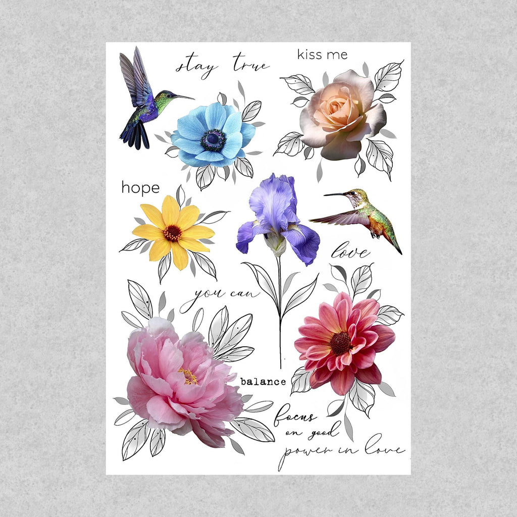 Bloom in Motion