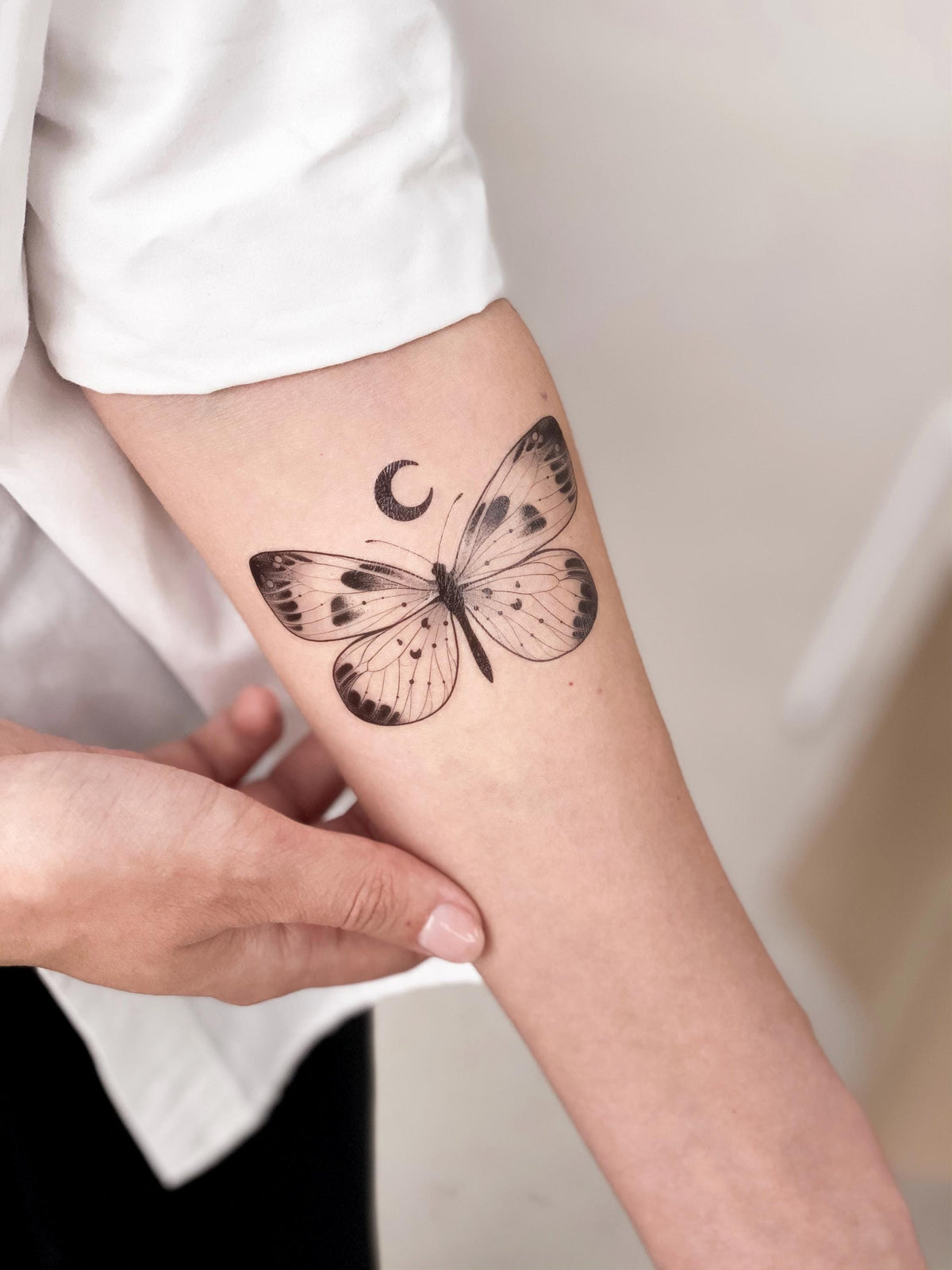 Fluttering Wilds